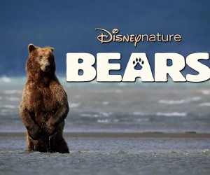 Bears 2014 Disney Movie Wallpapers