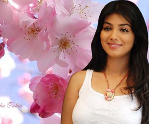 Ayesha Takia HD Wallpapers