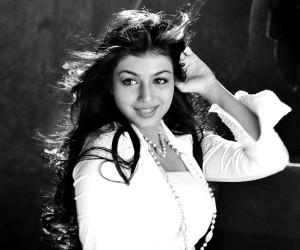 Ayesha Takia HD Wallpapers