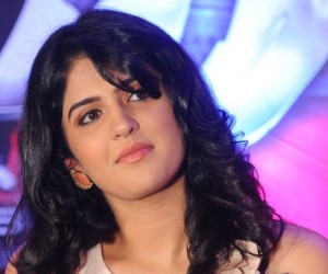 Deeksha Seth HD Wallpapers