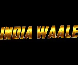 Happy New Year 2014 - India Waale