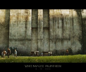 The Maze Runner Wallpapers