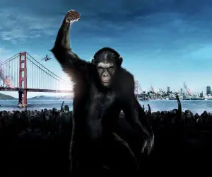 Dawn of the Planet of the Apes HD Movie Wallpaper
