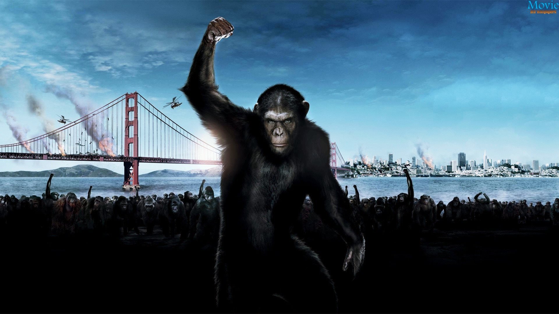 Dawn of the Planet of the Apes HD Movie Wallpaper.