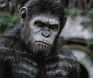 Dawn of the Planet of the Apes HD Wallpapers