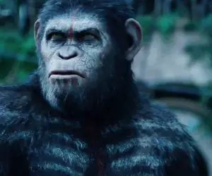 Dawn of the Planet of the Apes Monkey