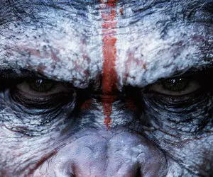 Dawn of the Planet of the Apes Movie Wallpaper