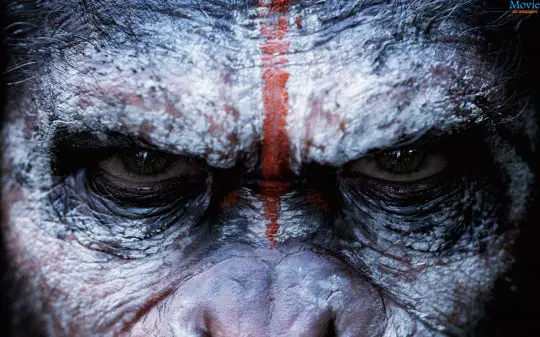 Dawn of the Planet of the Apes Movie Wallpaper