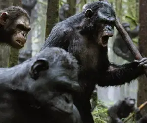 Dawn of the Planet of the Apes Movie Wallpapers