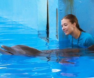 Dolphin Tale 2 Actress