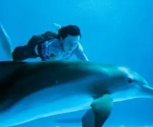 Dolphin Tale 2 Movie Stills