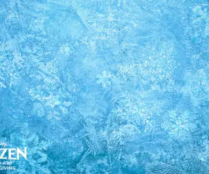 Frozen Movie Ice HD Wallpaper