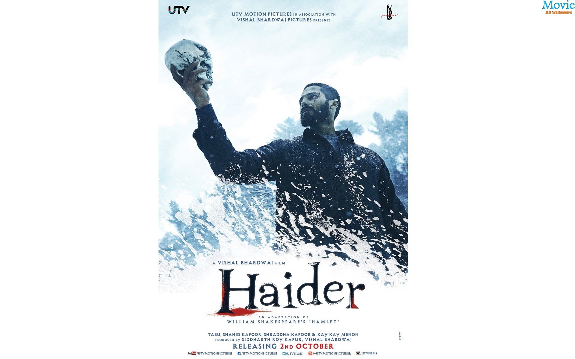Haider Movie Poster Wallpapers