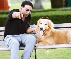 It's Entertainment Akshay Kumar Wallpapers